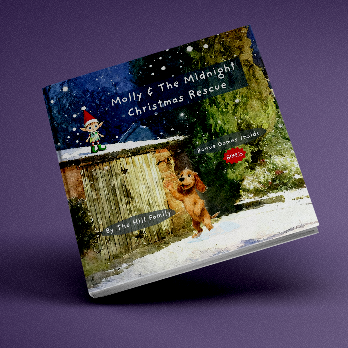 Molly & The Midnight Christmas Rescue