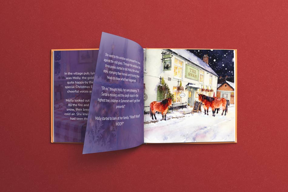 Molly's Quantock Christmas Adventure