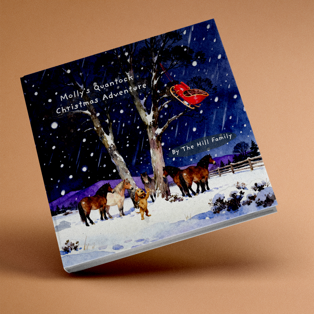 Molly's Quantock Christmas Adventure